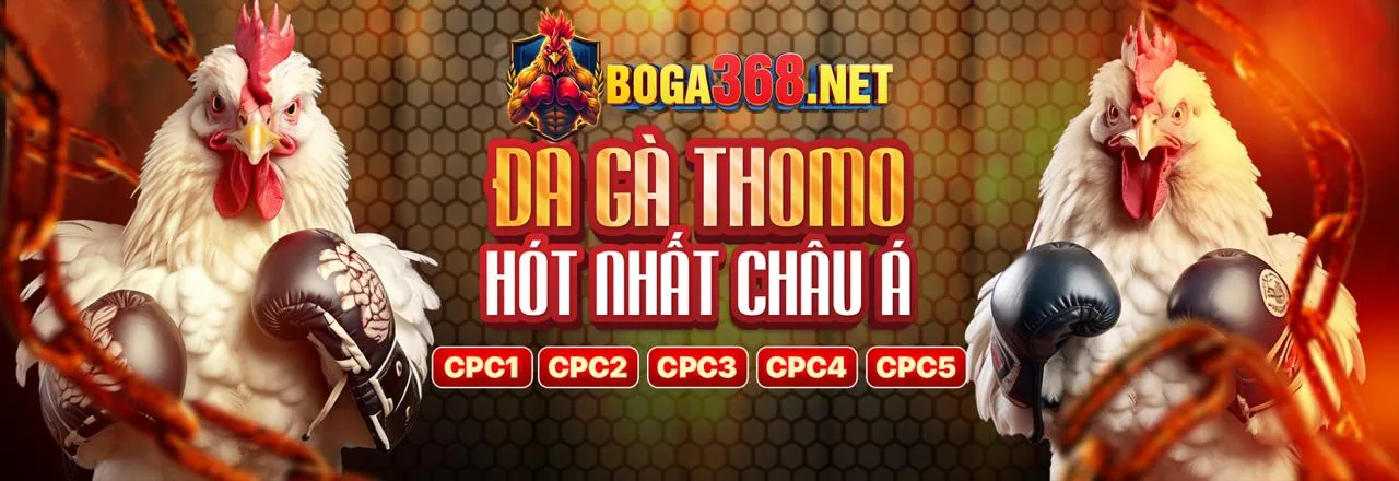 Đá gà trực tuyến b88 web với các trận đấu kịch tính